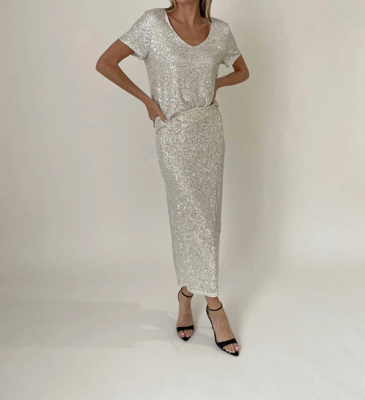 Joy Pencil Skirt In Silver
